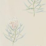 0b4c2569f56667ecb8ff851c44a50a7d