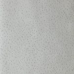 0e6294aa03d160078a2958ba89159287