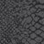 12793a7d1f39cc562fd3b20e650e3ecf