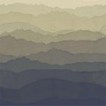 1950575adde99bb5b975c2dee88765a6