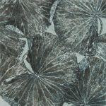 6bcc74e90b89f60d74b583f0bad13b28