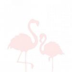 a8cdc428d334ef25d8bda8abfed895ce