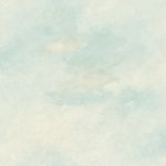 013f95747541eb50292d2699f765b66b