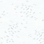 42ab5c188168fcdecd0bb44a0f15ebd8