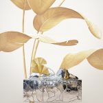 67742178f152c5991d523c49bae933ed