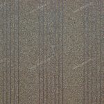 7ab22e5601935f3027d405b06a2425e4