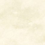 8ebb2089cae89fef9e47bfe6941e3c85