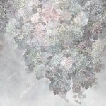af521_col4