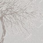 aff_701_vel_447