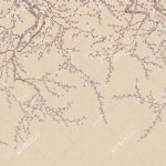 aff_704_vel_424