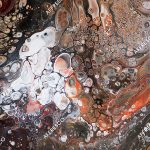 affresco_re827-col1