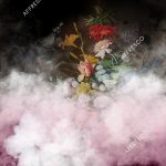 affresco_re895-col1