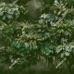 affresco_re908-col1