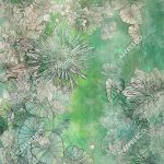 affresco_re913-col1