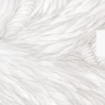 debf0331649277118cd440c52efe1e90