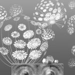 ee0c3a94f4fd09a6593854c5111e9edd