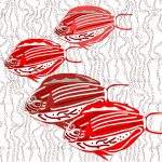 httpwadmcatalogproductimagebbno1401