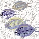 httpwadmcatalogproductimagebbno1402