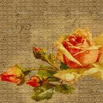 httpwadmcatalogproductimagegpw1438