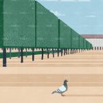 httpwadmcatalogproductimagettqp1401