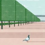 httpwadmcatalogproductimagettqp1402