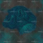 httpwadmcatalogproductimagewdan1702