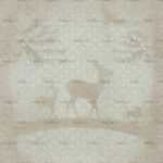 httpwadmcatalogproductimagewdbb1501