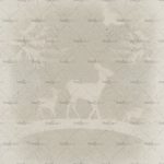 httpwadmcatalogproductimagewdbb1502