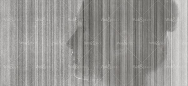 httpwadmcatalogproductimagewdbe1501