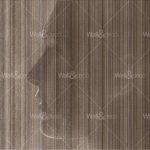 httpwadmcatalogproductimagewdbe1503