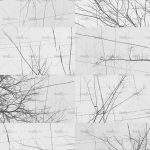 httpwadmcatalogproductimagewdbh1701