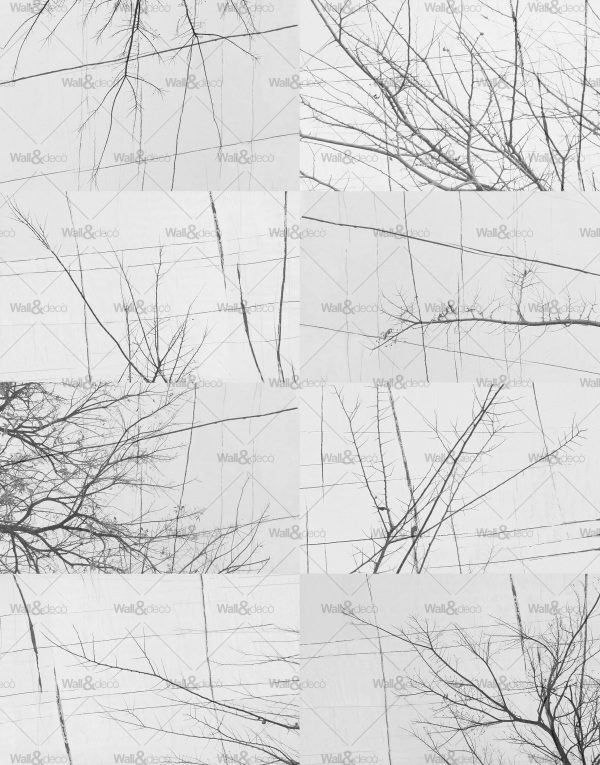 httpwadmcatalogproductimagewdbh1701