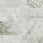 httpwadmcatalogproductimagewdbh1702