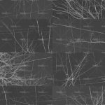 httpwadmcatalogproductimagewdbh1703