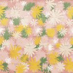 httpwadmcatalogproductimagewdbi1702