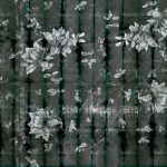 httpwadmcatalogproductimagewdbo1702