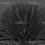 httpwadmcatalogproductimagewdbr1701