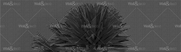 httpwadmcatalogproductimagewdbr1701