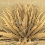 httpwadmcatalogproductimagewdbr1702