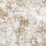 httpwadmcatalogproductimagewdch1401