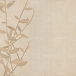 httpwadmcatalogproductimagewdco1401