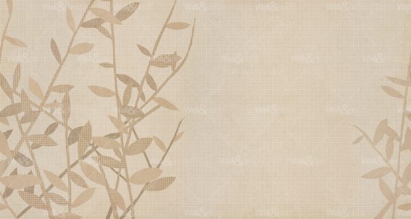 httpwadmcatalogproductimagewdco1401