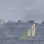 httpwadmcatalogproductimagewddb2002_