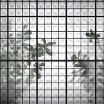 httpwadmcatalogproductimagewddj1901