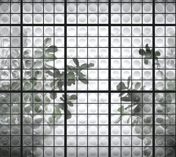 httpwadmcatalogproductimagewddj1901