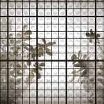 httpwadmcatalogproductimagewddj1902