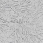 httpwadmcatalogproductimagewdds1702