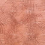 httpwadmcatalogproductimagewdgr1901