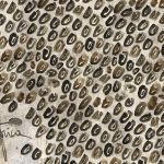 httpwadmcatalogproductimagewdma1901