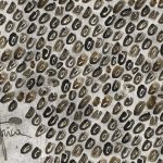 httpwadmcatalogproductimagewdma1902